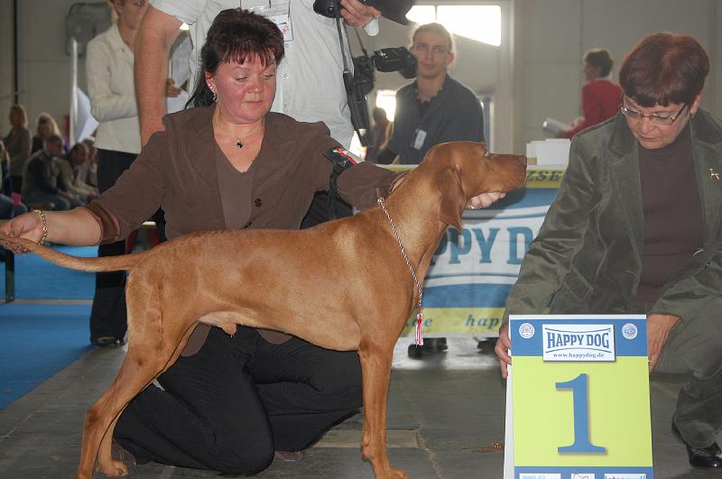 Canine Cool Boy - BOB - VIII.JPG - Canine Cool Boy - V1,CAC,CACIB,Evropský vítěz,BOB (šampionů)